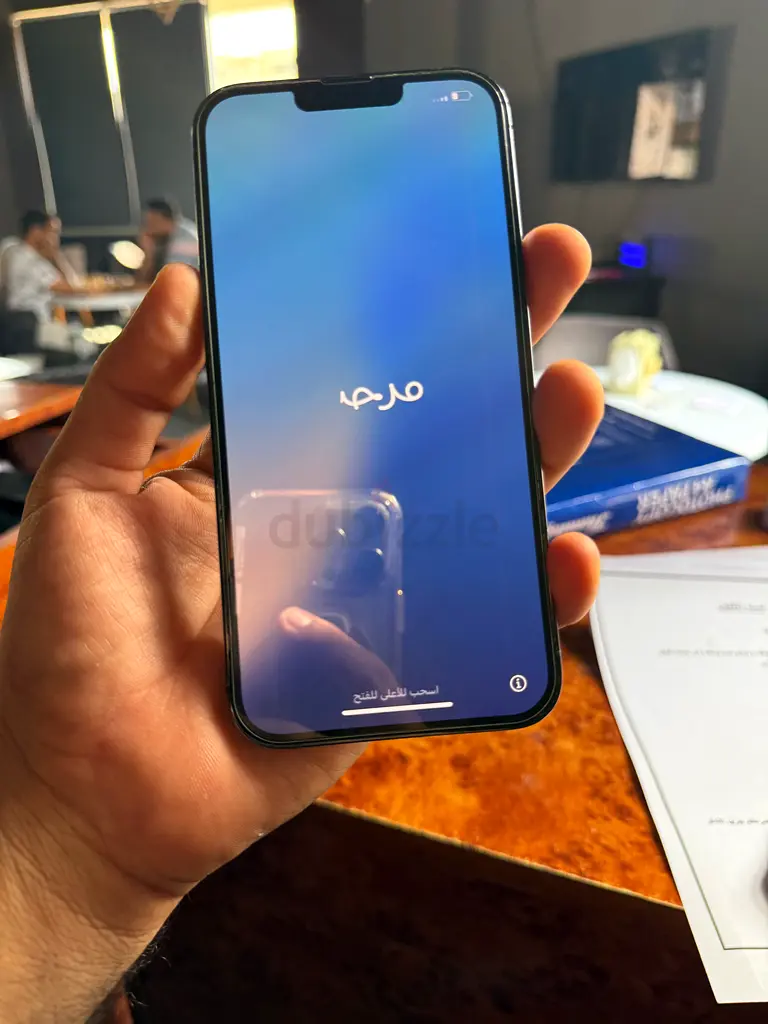 iPhone 13 Pro Max 256 GB