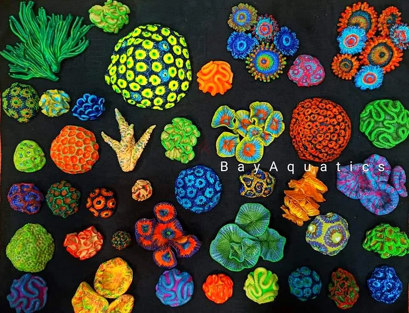 Marine Aquarium / Planted Aquarium63205893752705112