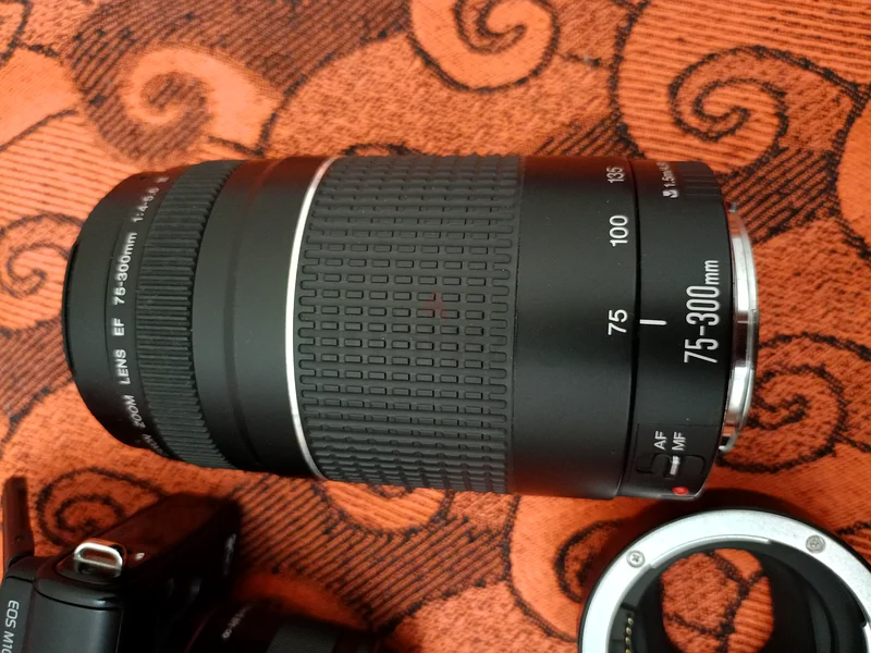 Canon EOS M10063201693785730113