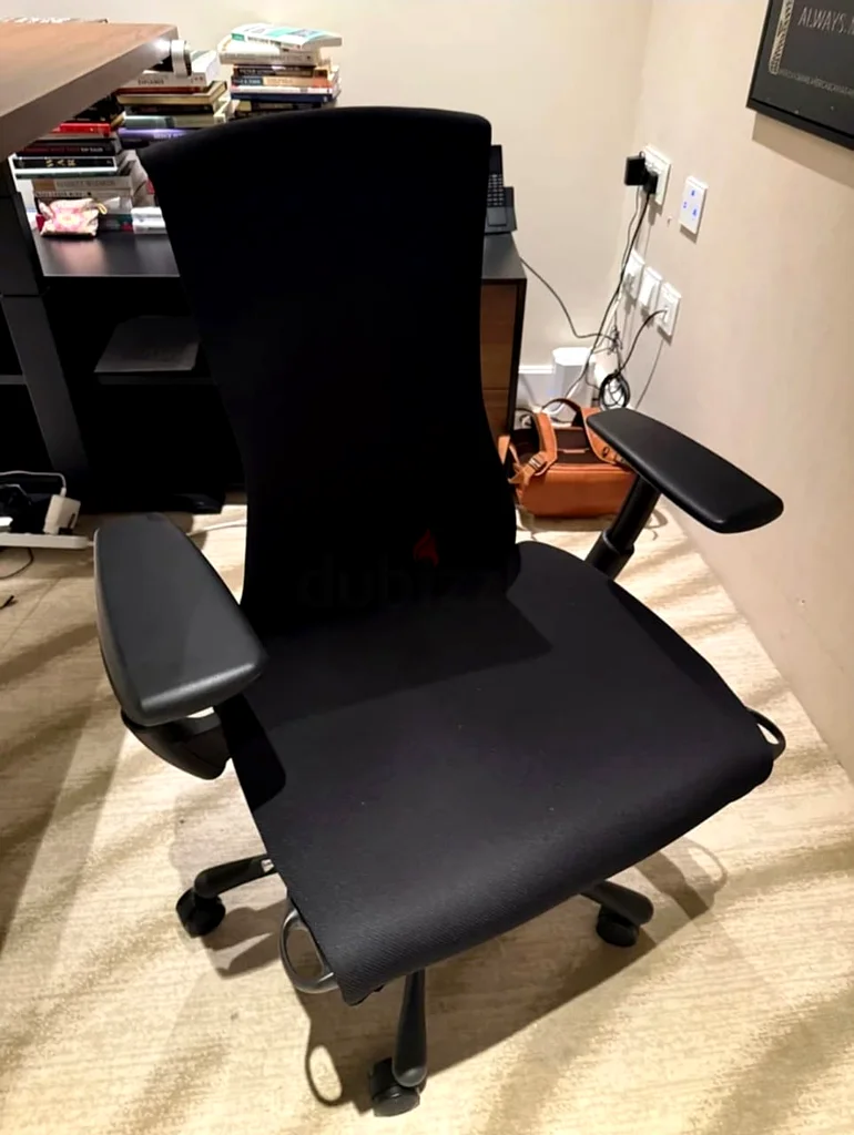 Herman Miller Embody Ergonomic Chair Fully Loaded Still New Condition63211915302401111