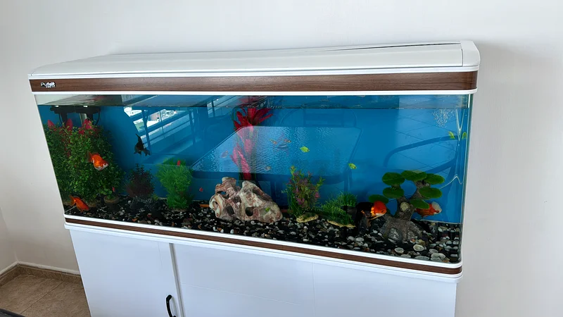 200L Aquarium - Excellent Condition!63201692702082112