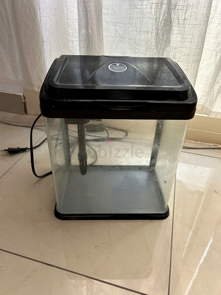 Small Aquarium63205892751362111
