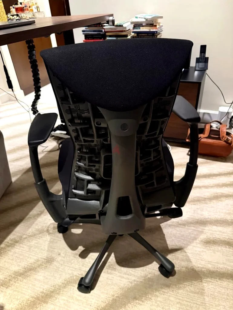 Herman Miller Embody Ergonomic Chair Fully Loaded Still New Condition63211915302401113
