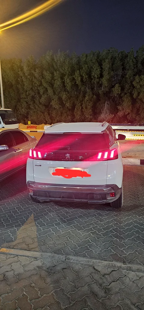 Peugeot 300863221303246722112