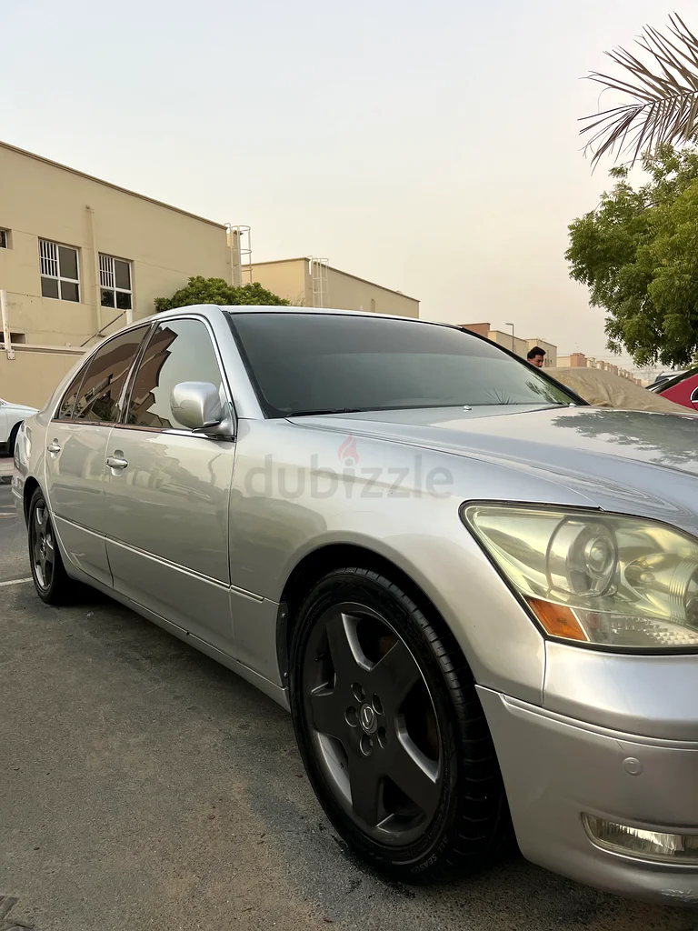 Deira, Dubai63226219704065111