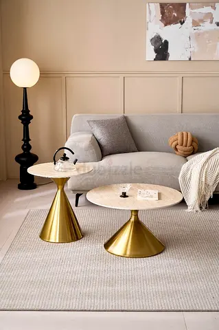 Modern coffee table snamic marble top (set)