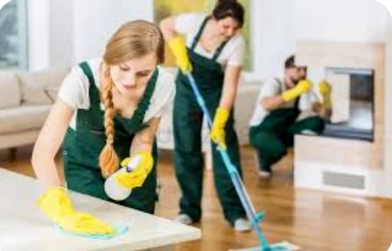 Home Cleaning Services63219832697602114