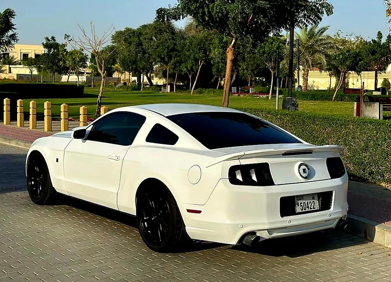 Ford Mustang 2014 Roush GCC SPECS Lady Driven63399884793475112