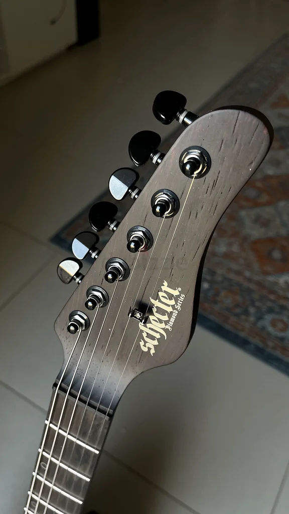 Schecter Sun Valley Super Shredder Exotic HT63209351080323112