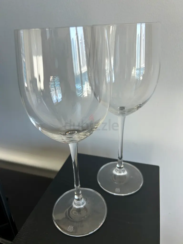 Elegant Glassware Set for the Perfect Cheers! 2 glasses