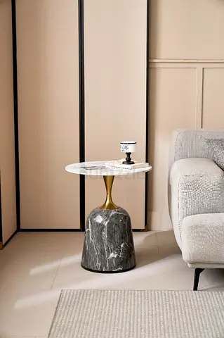 Coffee table snamic marble top