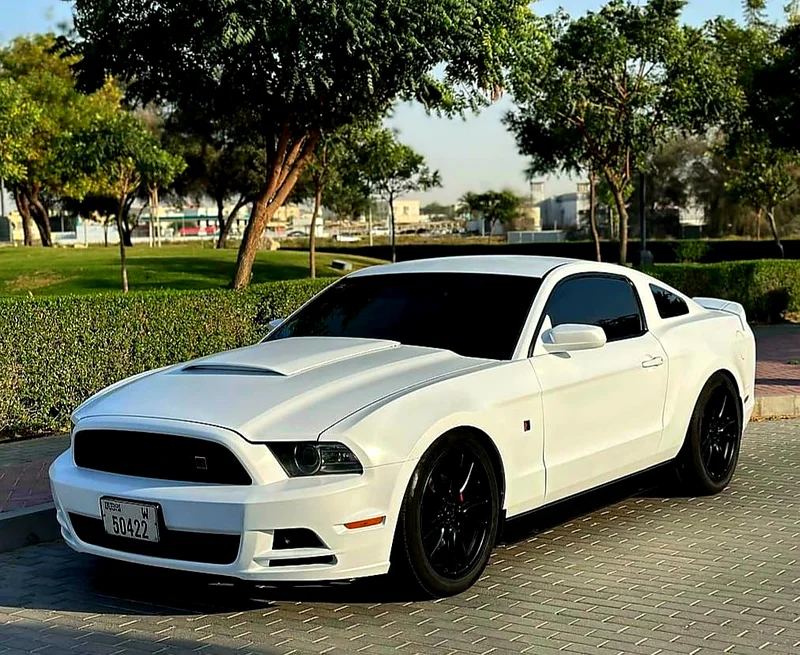 Ford Mustang 2014 Roush GCC SPECS Lady Driven63399884793475111
