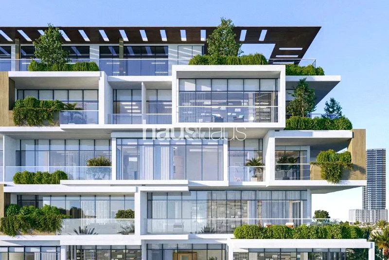 Growth Area |  Arjan | Grade A63825104600963110