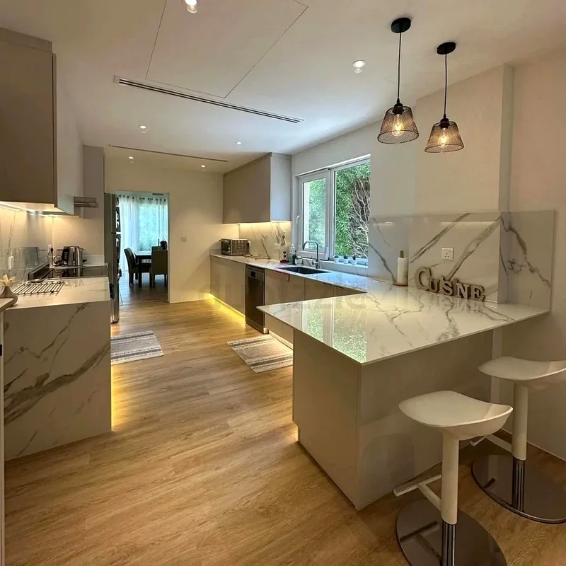 Kitchen renovation63217831094915112