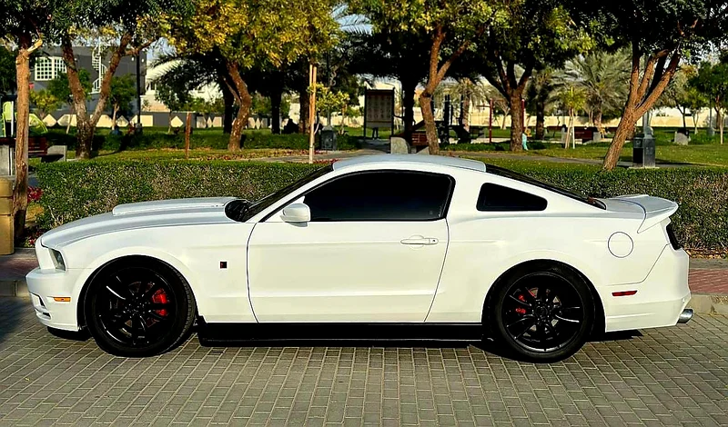 Ford Mustang 2014 Roush GCC SPECS Lady Driven63399884793475113