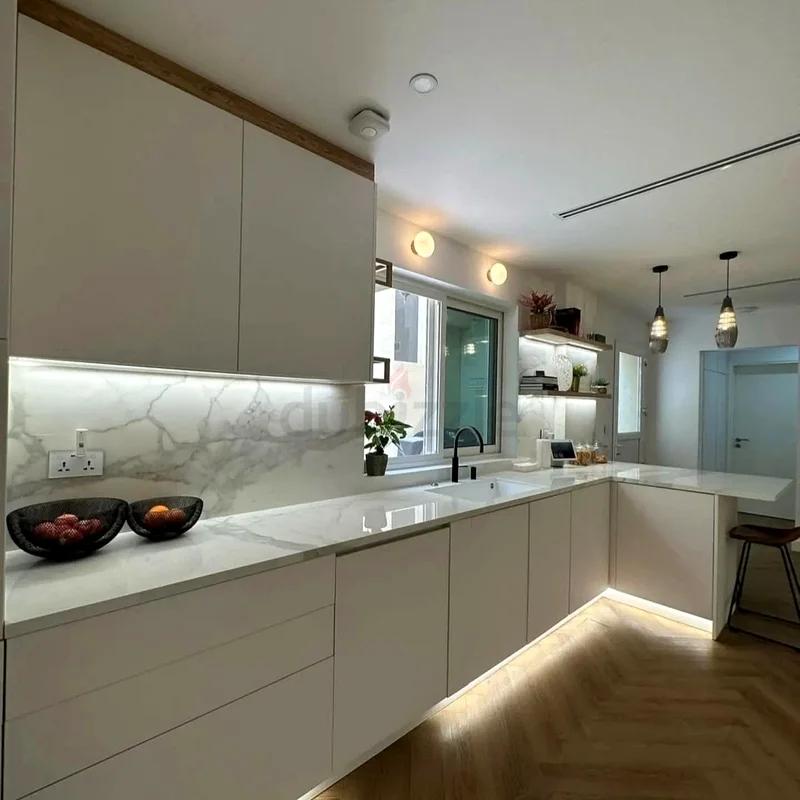 Kitchen renovation63217831094915113