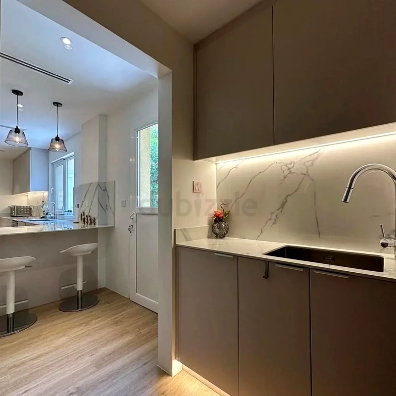 Kitchen renovation63217831094915114