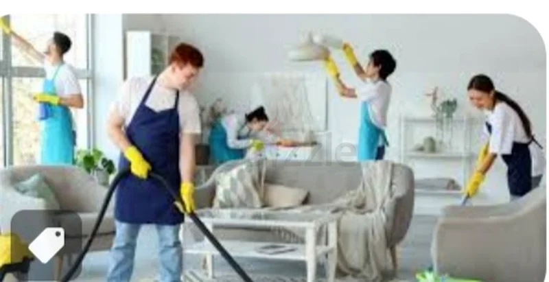 Home Cleaning Services63219832697602111