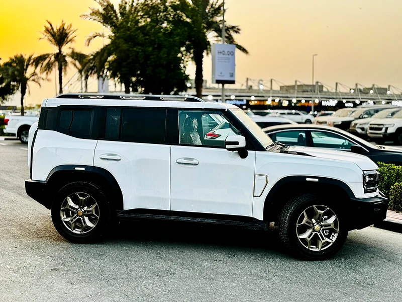 Abu Dhabi63398518480003113