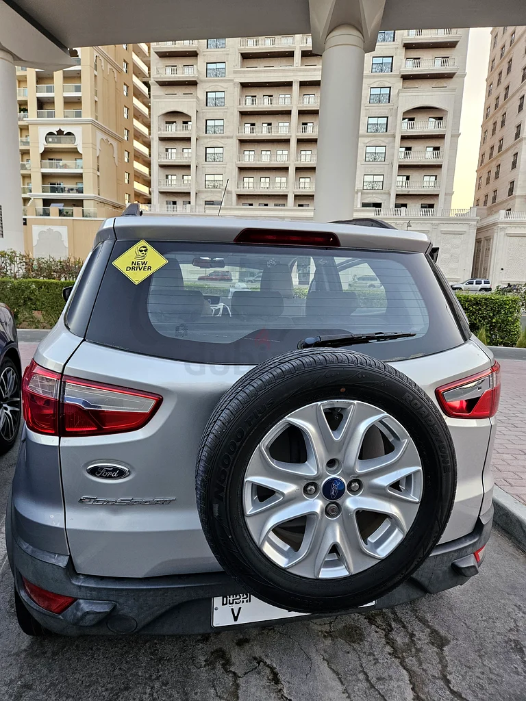 Lady driving Ford EcoSport 201563399880267907114