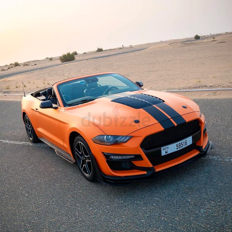 Ford Mustang Convertable, 2022.634073569763871113