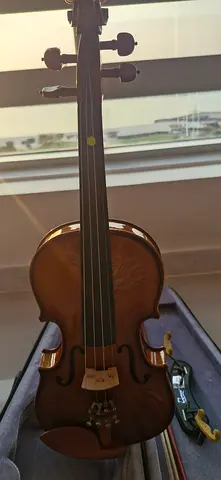 Beautiful Violin with Case - Perfect for Beginners and Pros!