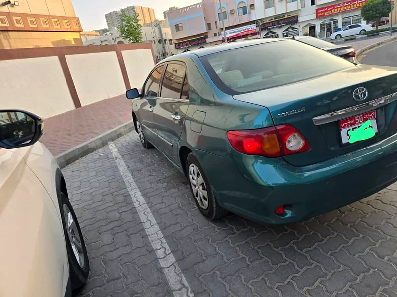 طلاء أصلي63401306006915112