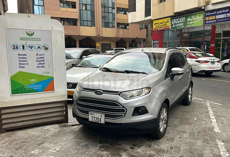 Lady driving Ford EcoSport 201563399880267907111