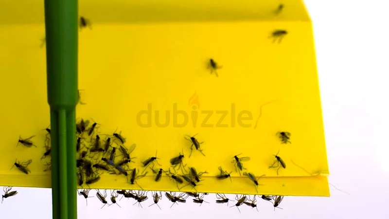 Our target to eliminate pest63216364436865112