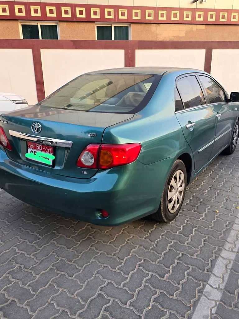 طلاء أصلي63401306006915111