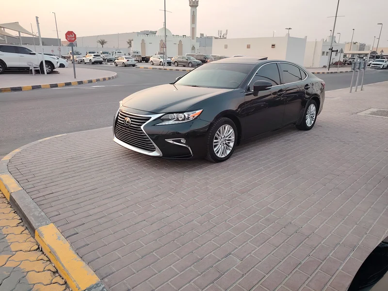 Sharjah Al Hiraq Market63398646836611112
