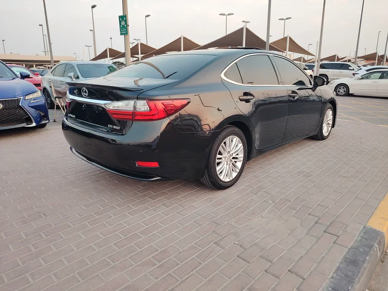 Sharjah Al Hiraq Market63398646836611113
