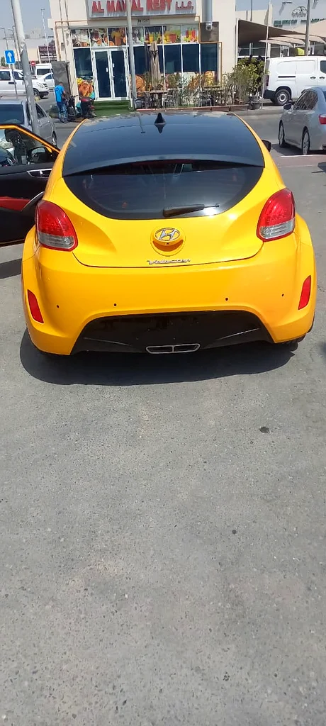 HYUNDAI VOLESTAR PANORAMIC63406906093569114