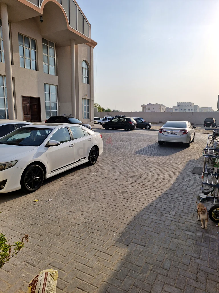 البكالوريوس التنفيذي مساحة السرير63485950722691111
