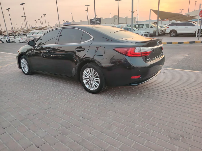 Sharjah Al Hiraq Market63398646836611114