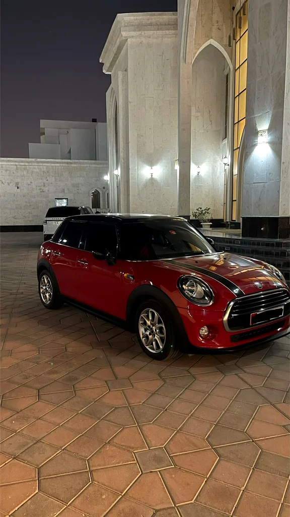 Mini Cooper 2019633985229044511113