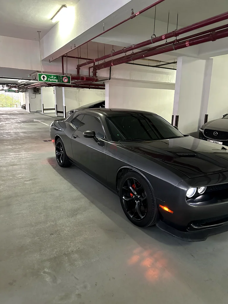 Dodge Challenger SXT 201663398534843010113