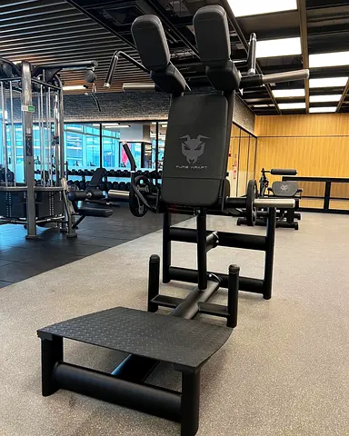 GYM80 Plate Loaded Squat Rack – Refurbished ️‍️