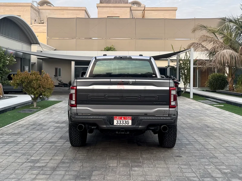 Raptor 37 GCC63399882594817113