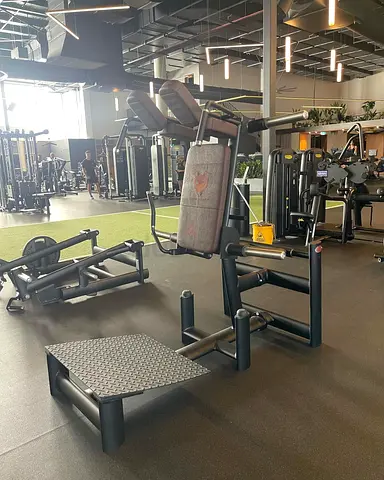 GYM80 Plate Loaded Squat Rack