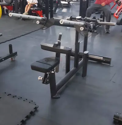 GYM80 Pure Kraft Triceps Dip Fitness Machine