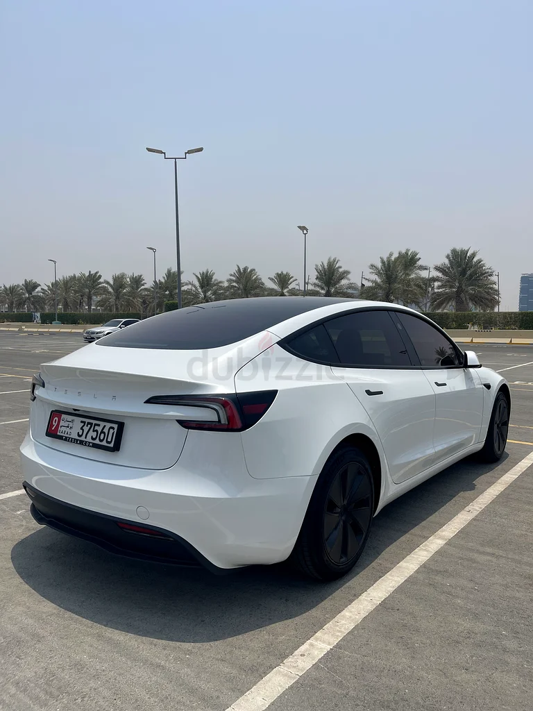 Tesla Model 3 Standard63398505159169113