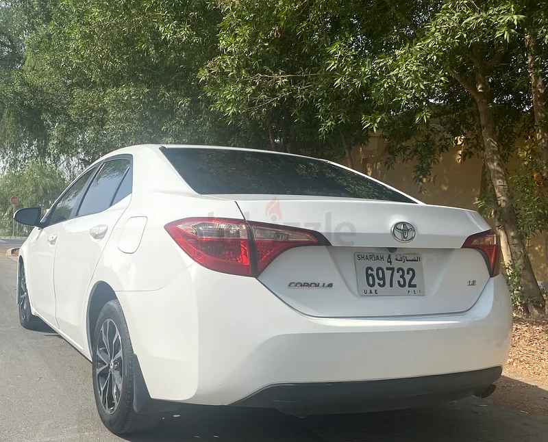 عجمان - المويهات 263399946728066113