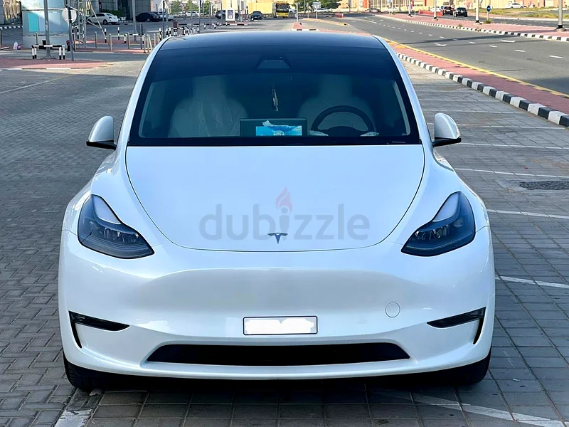 Tesla Model Y, Long Range, single owner, in very good condition63398505690625111