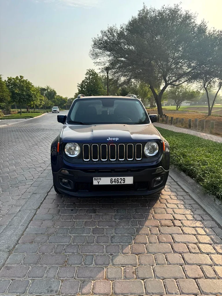 2017 Jeep Renegade GCC63398605225219113