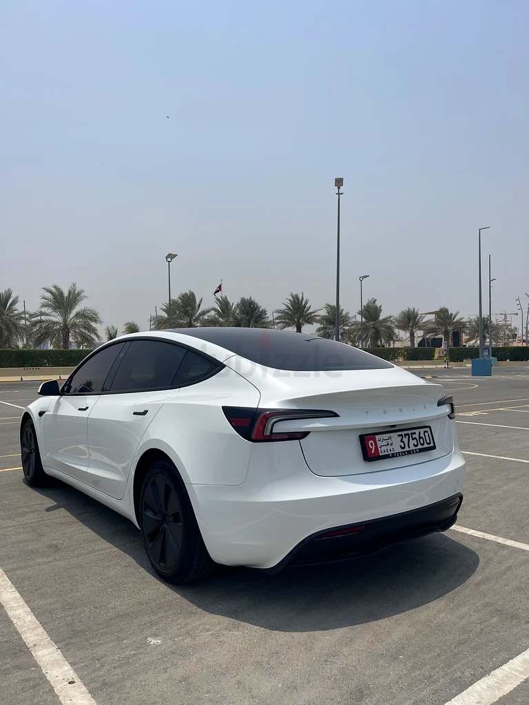 Tesla Model 3 Standard63398505159169114