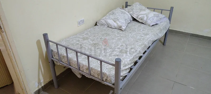 Executive bed space available in shawamekh634851639462421122