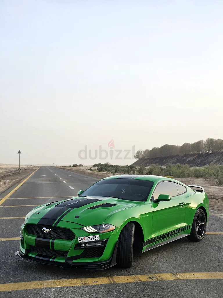 FORD MUSTANG ECOBOOST63399885261954111