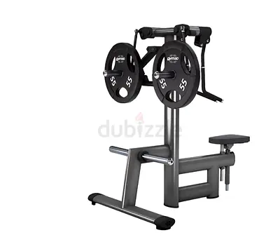 GYM80 Shoulder Lateral Raise – Model 3050