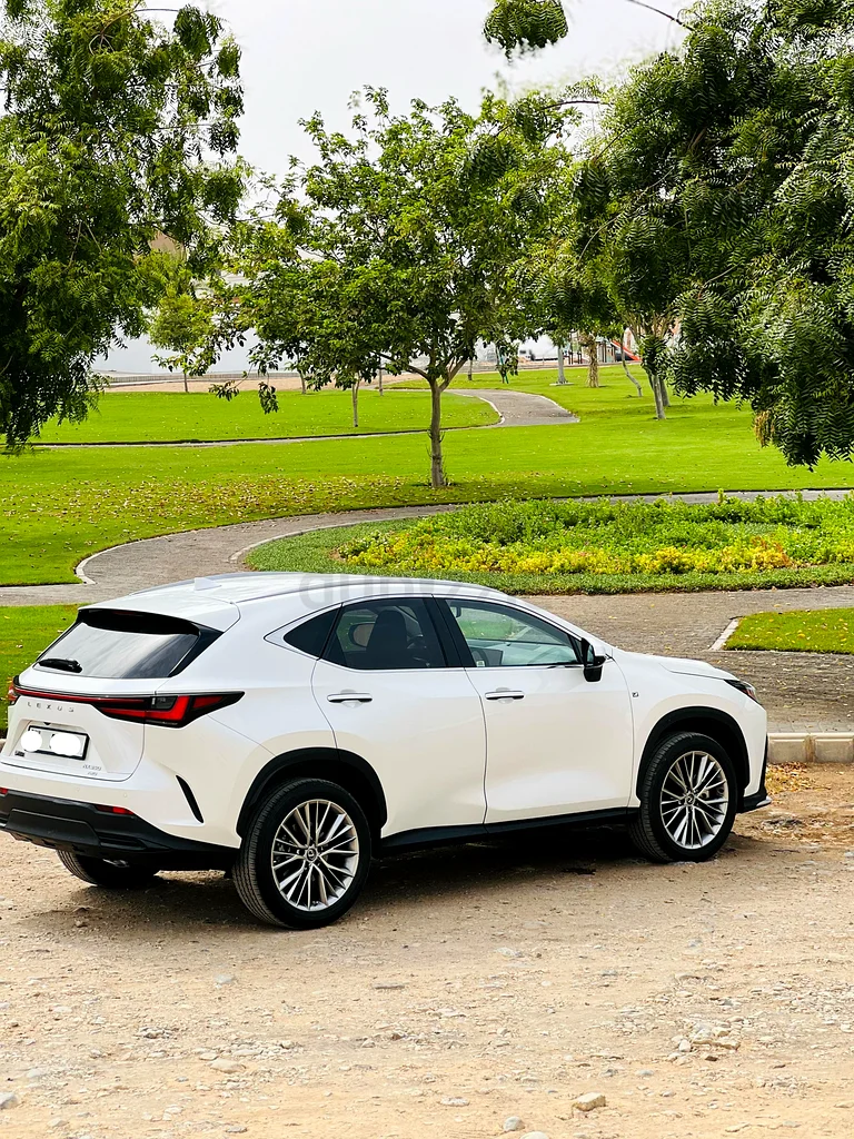 Urgent Sale: Lexus NX 350 2022 for Sale63398636498179114